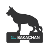 Logo Png